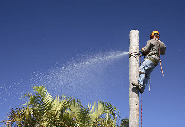 Landscape Design and Installation in Laurel, FL